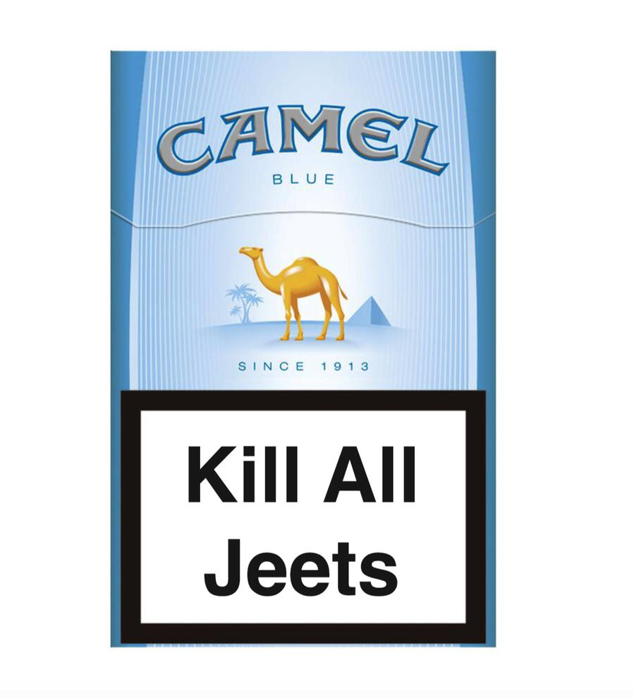 Camel Sticker Art