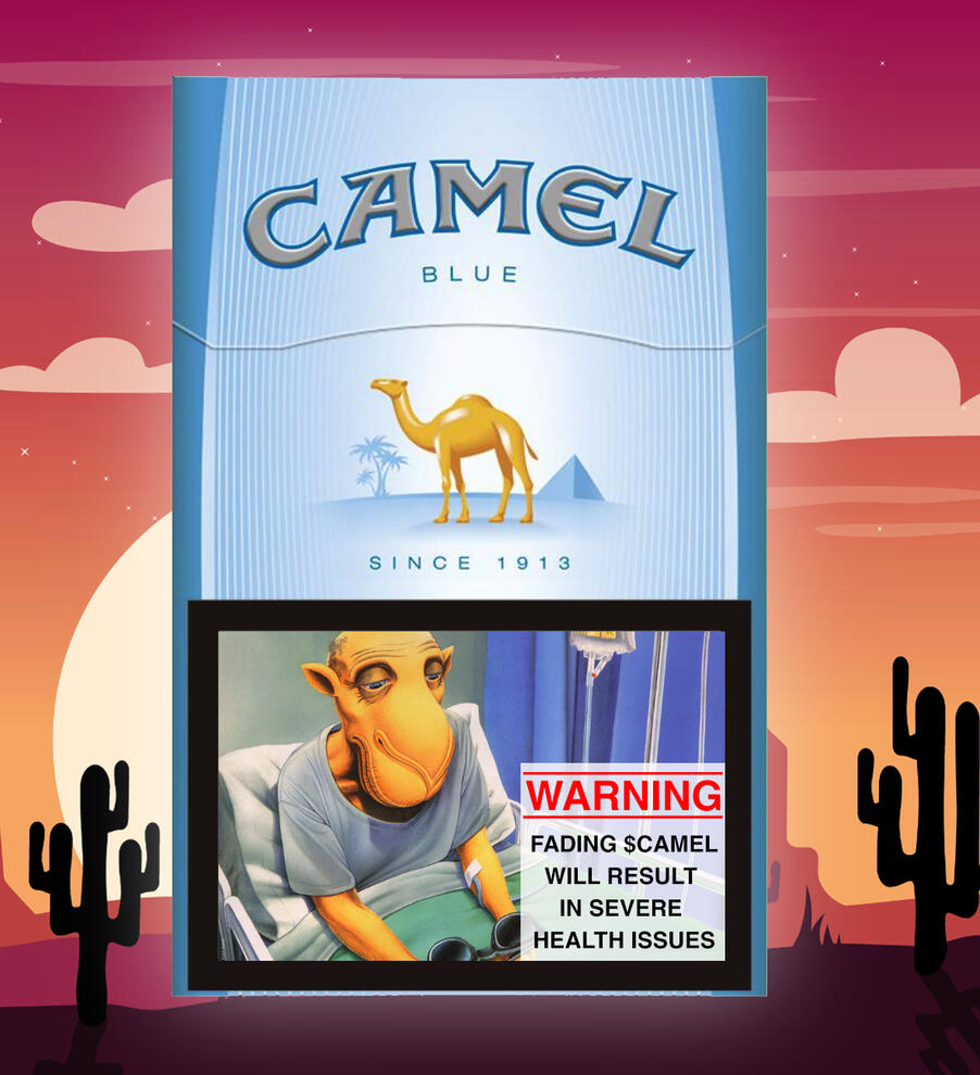 Camel Sticker Art